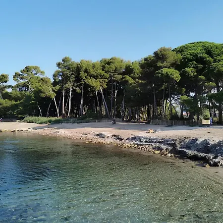 Appartement Climatise Proche De La De Sainte Asile Saint-Mandrier-sur-Mer